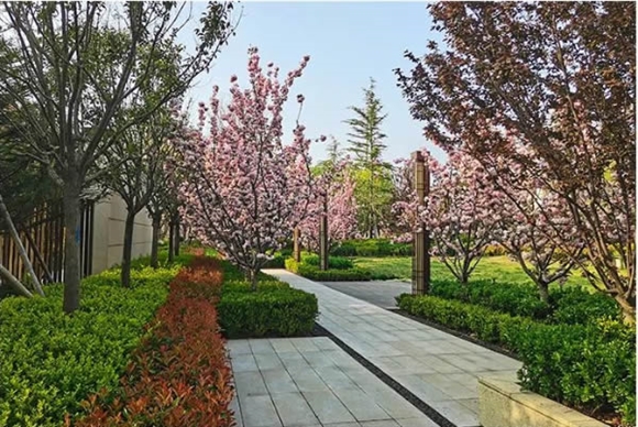 邀您共赏中泰春色