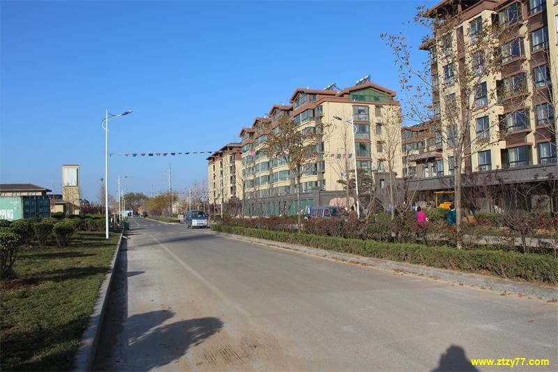 身怀专业技能的绿化管理团队