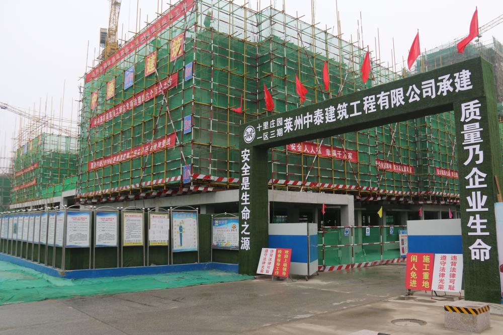 市领导深入工地现场督导安全生产